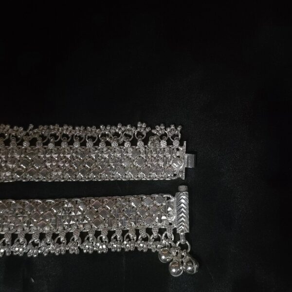 Payal 3 - Image 4
