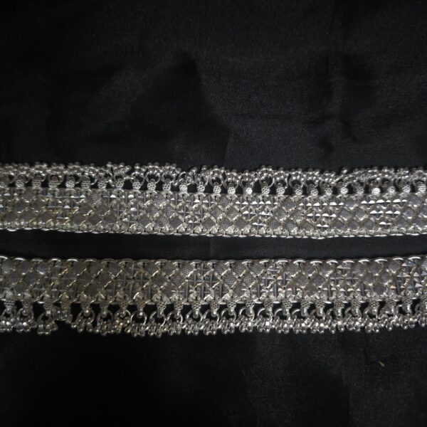 Payal 3 - Image 3