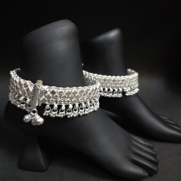 Payal 3